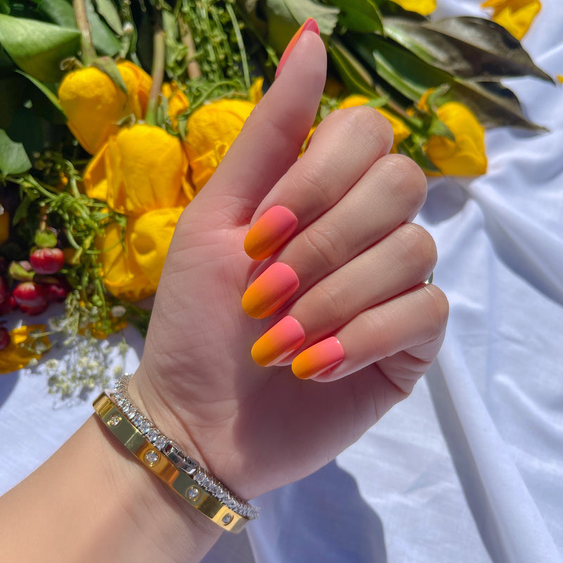 Mimosa